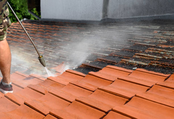 Best Pressure Washing Patio  in South Paris, ME