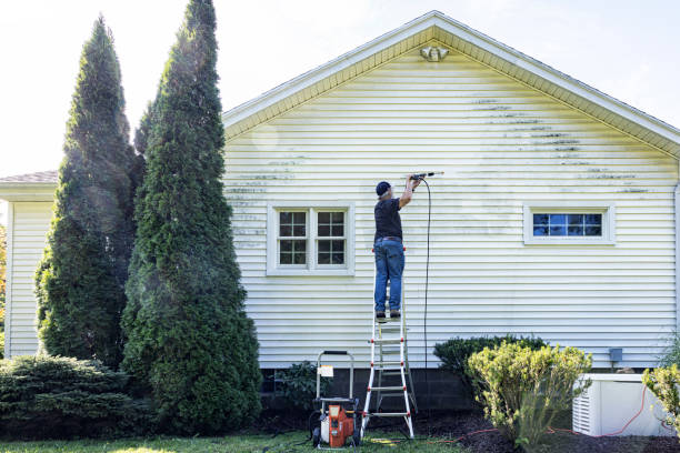 Best Roof Pressure Washing  in South Paris, ME