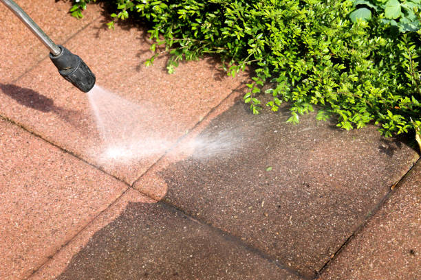 Best Roof Power Washing Services  in South Paris, ME